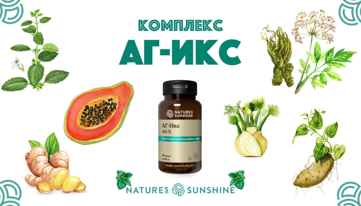 Для чего АГ Икс (Эй Джи Экс), показания к применению и как принимать AG-X NSP
