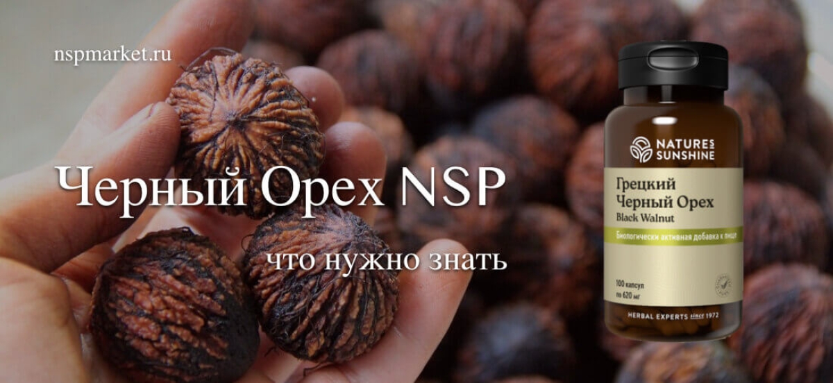 Черный орех нсп не только от паразитов. Польза ореха нсп