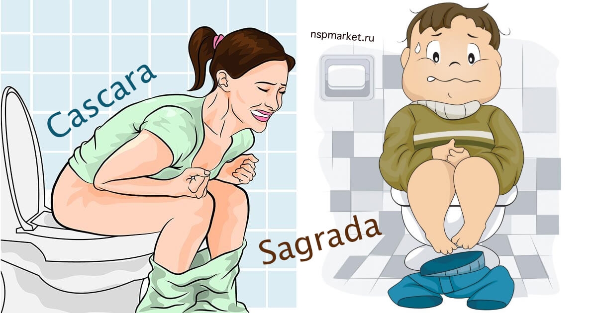 Каскара Саграда как принимать и для чего. Состав Cascara Sagrada NSP (описание и применение)