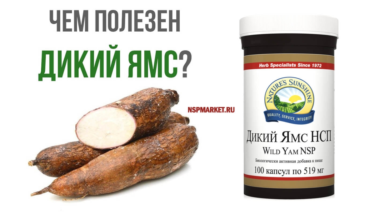 Дикий ямс нсп для женщин и мужчин. Свойства wild yam nsp