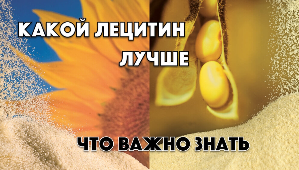 Лецитин соевый или подсолнечный. Фитоэстрогены в соевом лецитине