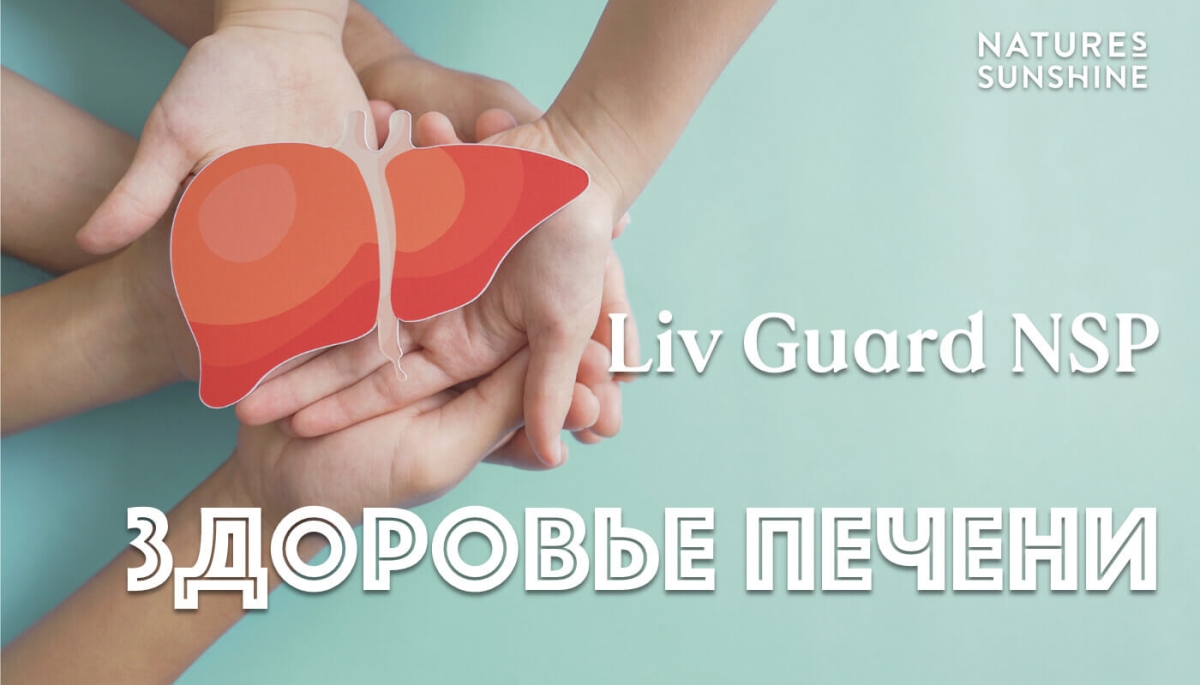 Для чего Лив Гард и как принимать Лив Гард НСП