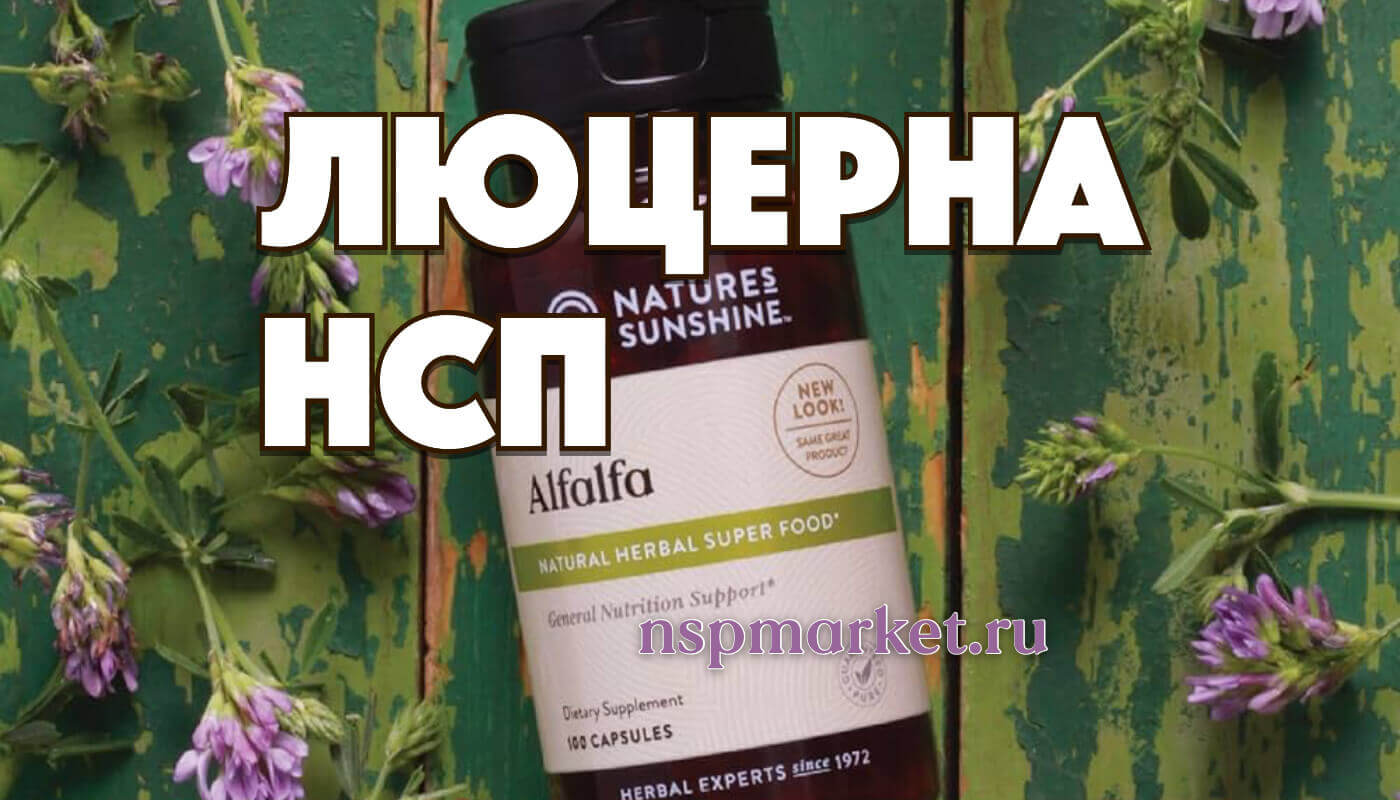Для чего Люцерна НСП, показания и применение Альфальфа Nature's Sunshine