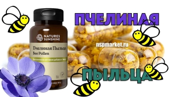 Пчелиная пыльца