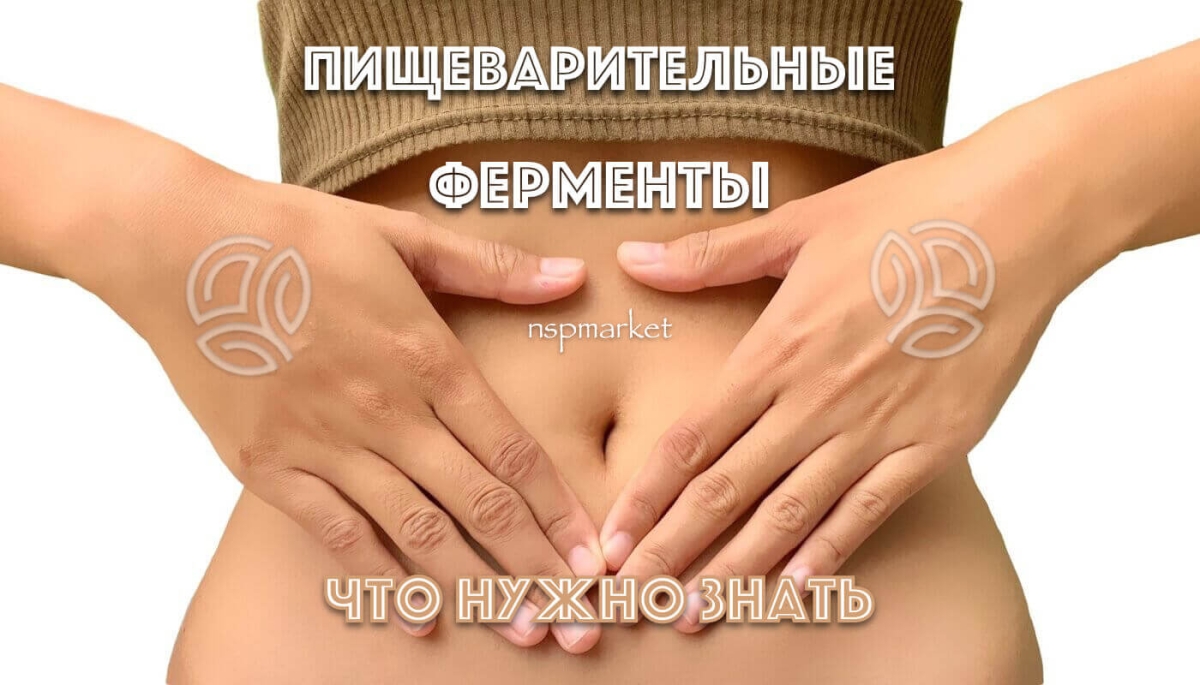 Пищеварительные ферменты НСП (инструкция и показания применения пищеварительных ферментов)