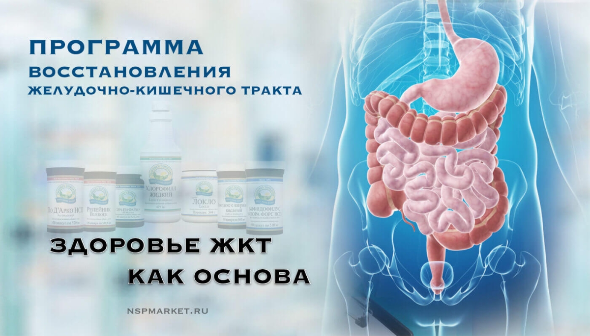Важность восстановления ЖКТ. Лечение жкт — программа нсп