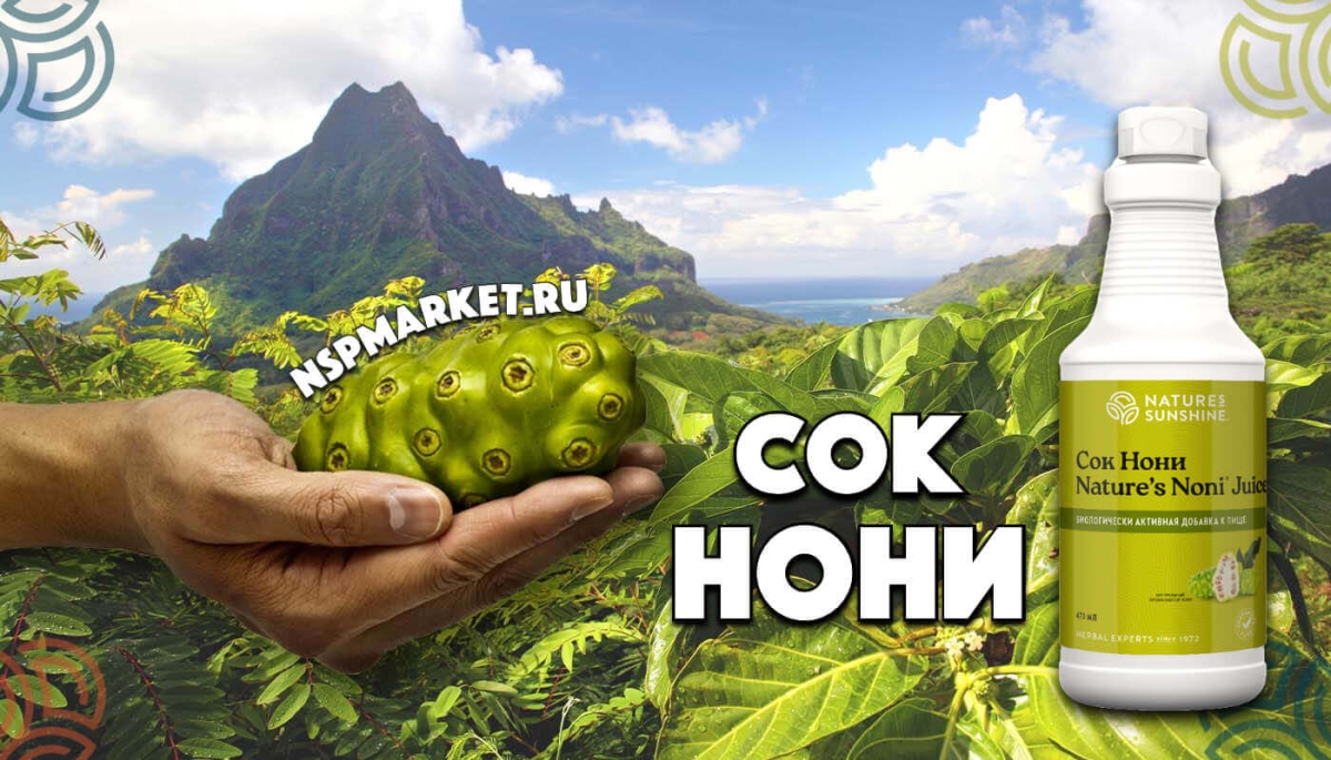 Сок Нони NSP применение и показания для чего сок нони нсп