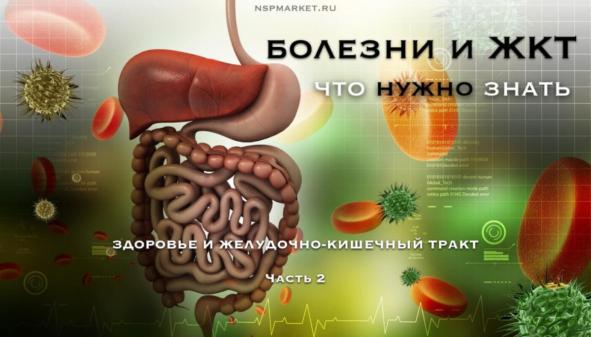 Как ЖКТ влияет на здоровье. Болезни которые можно предотвратить
