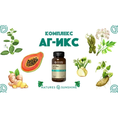 АГ Икс НСП