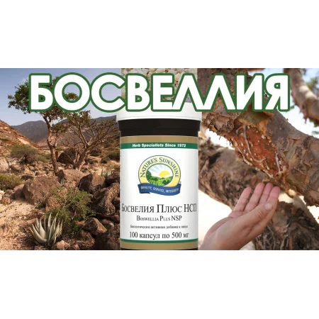 Босвелия