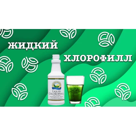 Жидкий Хлорофилл