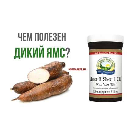 Дикий Ямс НСП 