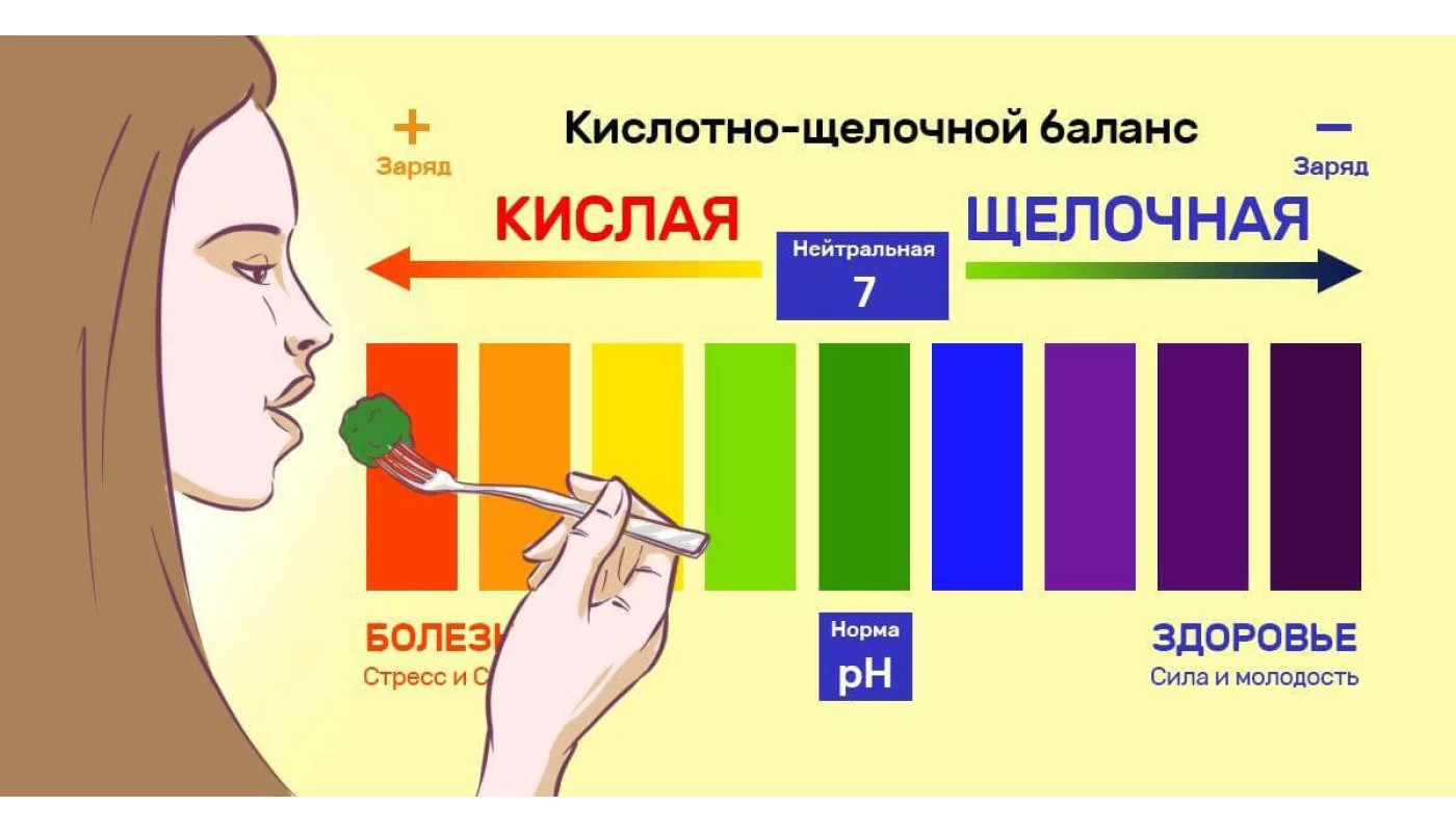 Кислотно-щелочное равновесие. Щелочные продукты питания, повышенная кислотность НСП