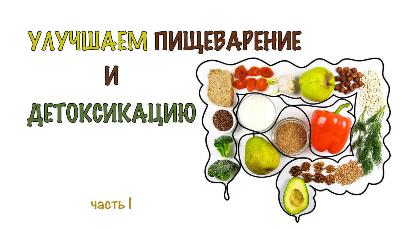 Питание и желудочно-кишечный тракт, продукты и добавки с клетчаткой 