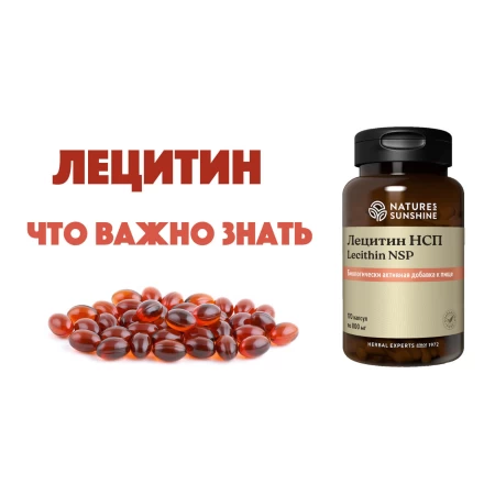 Польза Лецитина 