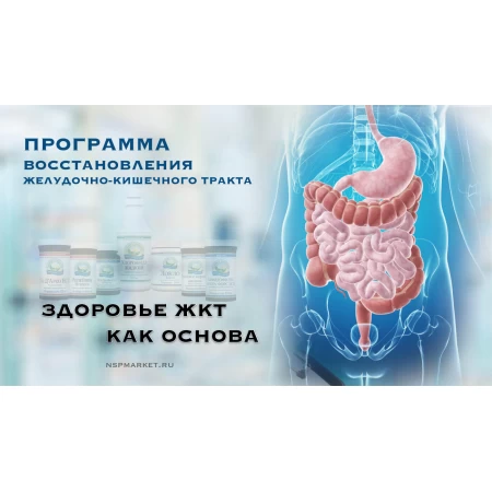 Реабилитация ЖКТ НСП