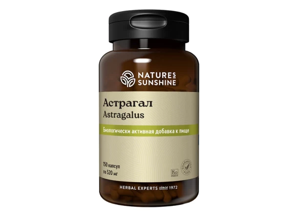 Астрагал НСП (Astragalus NSP)
