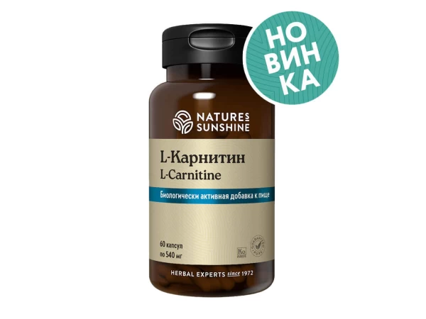 Л-карнитин НСП | L-carnitine NSP (элькарнитин)